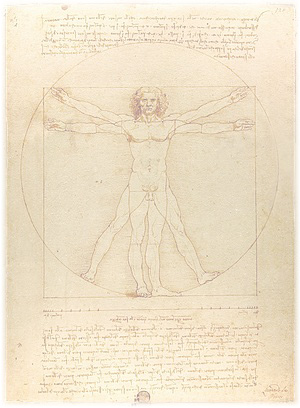 Vitruvian man Da Vinci